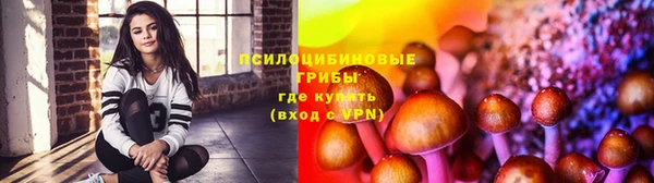 ALPHA-PVP Новодвинск