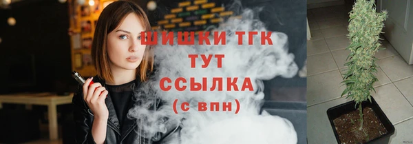 шишки Новокубанск