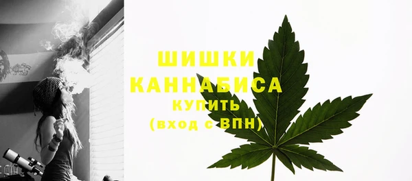 гидропоника Нязепетровск