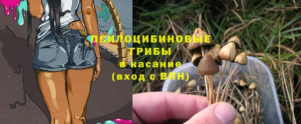 гидропоника Нязепетровск