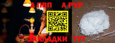 кокс Кингисепп