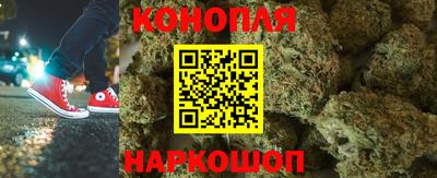 кокс Кингисепп