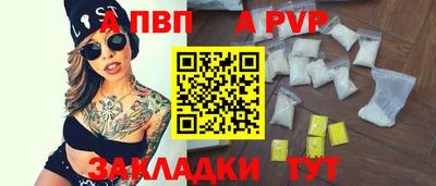 кокс Кингисепп
