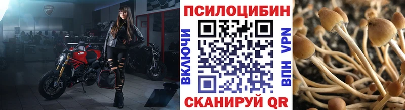 Псилоцибиновые грибы прущие грибы  где можно купить   Армавир 
