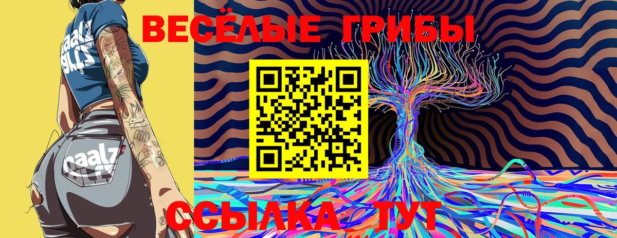 Галлюциногенные грибы Magic Shrooms Армавир