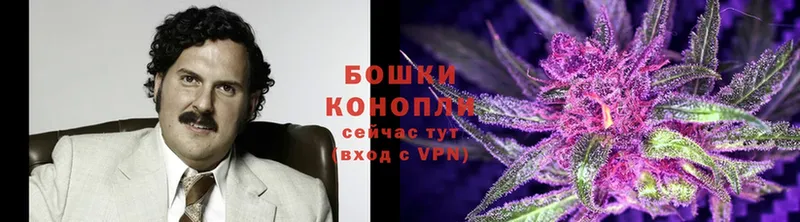 Конопля Ganja  Армавир 