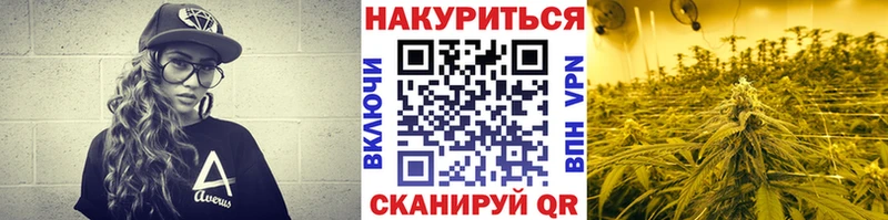 Бошки марихуана OG Kush Армавир